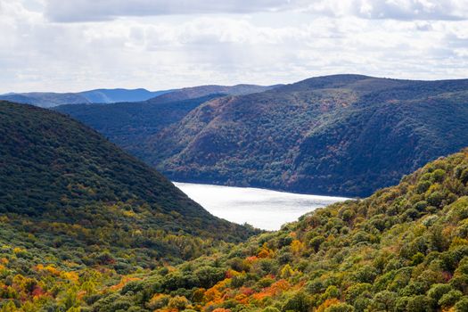 Picture taken during a hike from Breakneck ridge to Cold Spring during the fall season (NY)