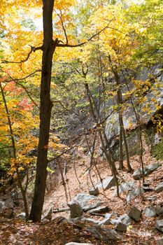 Picture taken during a hike from Breakneck ridge to Cold Spring during the fall season (NY)