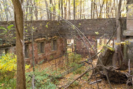 Picture taken during a hike from Breakneck ridge to Cold Spring during the fall season (NY)