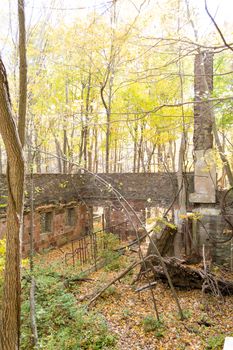 Picture taken during a hike from Breakneck ridge to Cold Spring during the fall season (NY)