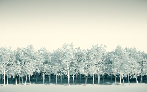 Forest white on white background, 3d Illustration