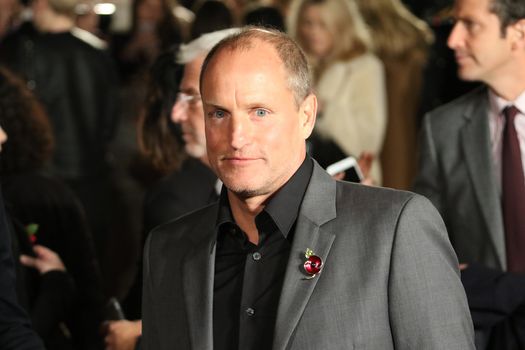 UNITED KINGDOM, London: Woody Harrelson attends the UK premiere of The Hunger Games: Mockingjay - Part 2 at Odeon Leicester Square in London on November 5, 2015. 