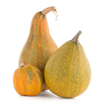 Pumpkins isolated on white background