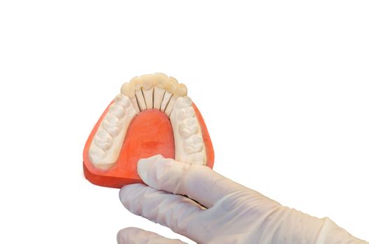 Dentures, prosthesis and oral hygiene. Hands with gloves while working on a prosthesis, false teeth, against white background.