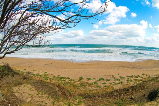 seaside epidemic deathes at October