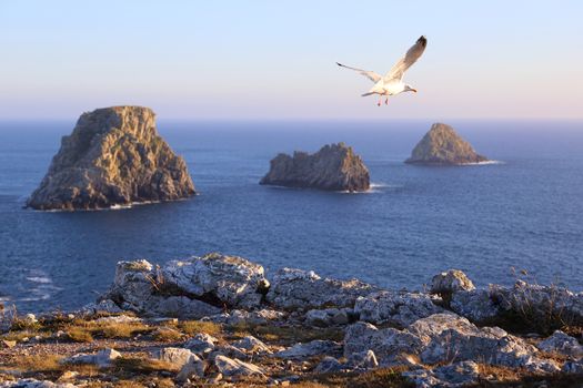 Pen-Hir Cape at dusk, Crozon Peninsula, Brittany, France