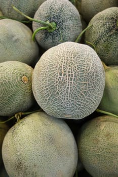 Close up organic rock melon sale in market