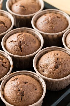 Fresh muffins on wooden background