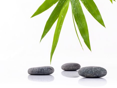 The Stones spa treatment scene and bamboo leaves with raindrop zen like concepts.