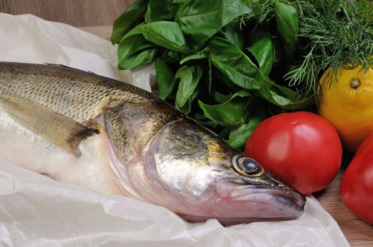 Raw fish pike perch on a paper with basil, tomatoes, dill, lemon