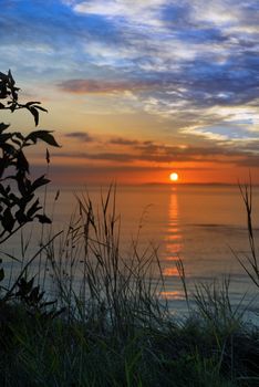 beautiful orange sunset over loop head with silhouetted wild tall grass on the wild atlantic way in ireland