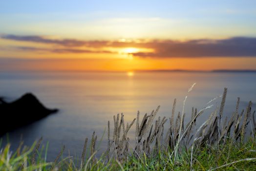 beautiful serene sunset over loop head with the wild tall grass on the wild atlantic way in ireland
