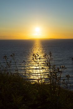 beautiful sunset over the wild tall grass on the wild atlantic way