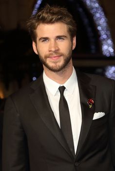 ENGLAND, London: Liam Hemsworth attended the London premiere of 'The Hunger Games  Mockingjay Part 2' in Leicester Square on November 5, 2015. The cast is currently on a world tour for the final installment of the Hunger Games franchise.