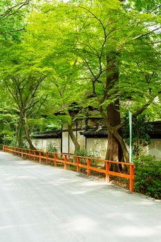 Japanese Temple in Kyoto