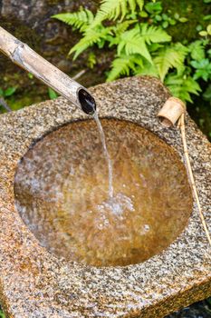 Traditional Bamboo Fountain in Japan