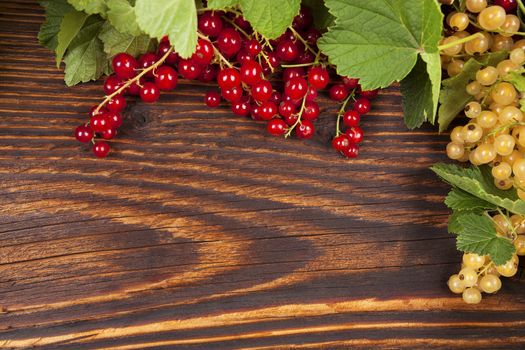 Red currant and white currant on rustic wooden background. Healthy summer fruit eating.