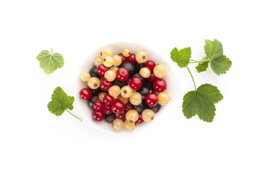 Red, white and black currant isolated on white background with reflection. Healthy summer fruit eating. 