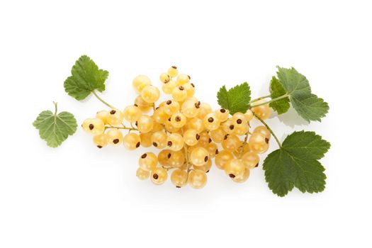 Delicious white currant isolated on white background. Healthy summer fruit eating. 