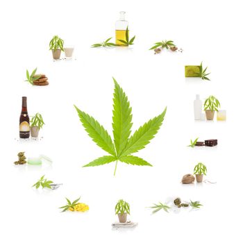 Cannabis and its usage. Marijuana leaf and marijuana products isolated on white background. Cosmetics, hemp milk, hemp oil, cookies, brownies and nutritional supplements.