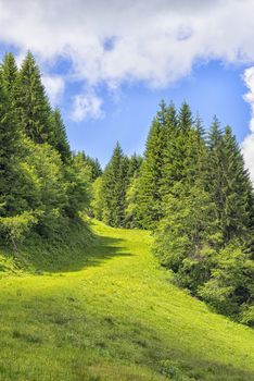 Landscape on the Alpspitz near Nesselwang in the Allgaeu, Bavaria, Germany