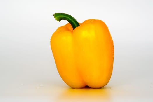 Yellow Sweet bell pepper (capsicum) isolated on white background