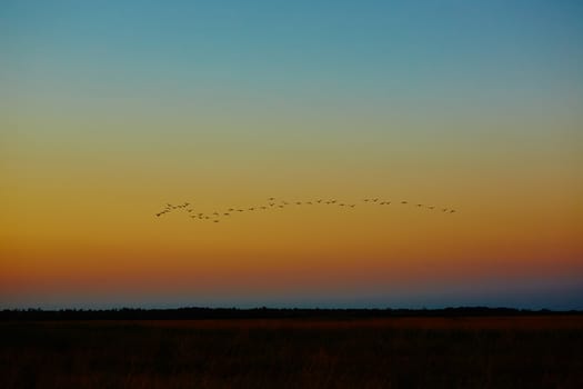 Scenic view of beautiful sunset in steppe 