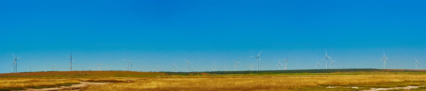 The windmills for electric power production. Eco power. panorama