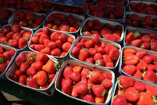 Fresh Strawberries for Sale in Market of Aix-en-Provence, France