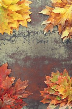 High Angle View Of Autumn leaves on rustic background.