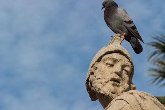 Sicily, Italy: the baroque statue with pigeon