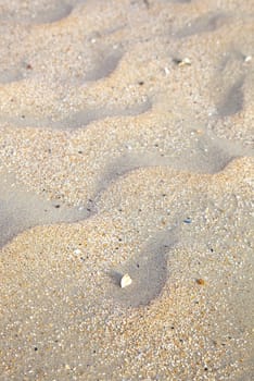 Close up of sand on sunny beach