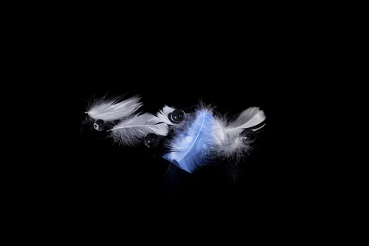 Abstract blurred feathers over black background
