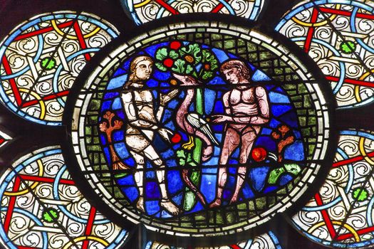 Adam Eve Stained Glass Notre Dame Cathedral Paris France.  Notre Dame was built between 1163 and 1250AD.  