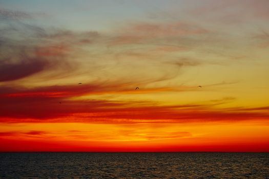 Sunset over the ocean. sunset at coast of the sea