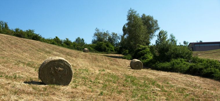 Vacation in rural area of Italy at summer