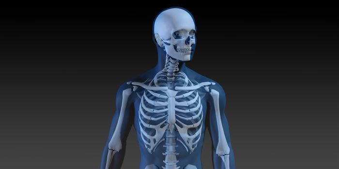 3D Concept of Human Male Body and Skeleton Running