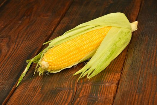 One open fresh yellow corn cob with green husk on dark brown vintage wooden surface