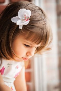 portrait of a little girl looking out the window