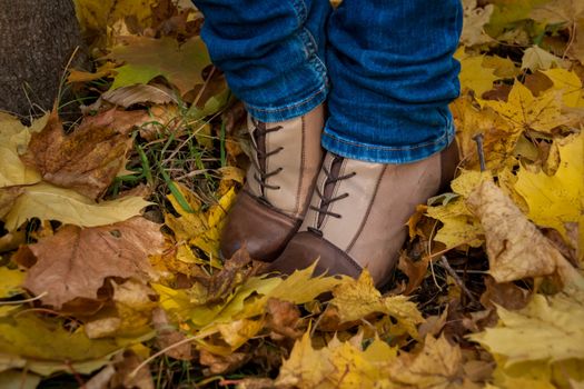 autumn, leaves, legs and shoes. Conceptual image of legs in boots on the autumn leaves. Feet shoes walking in nature