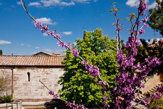 An old stone roman church and a garden in San Quirico d'Orcia in Italy
