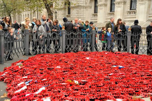 UK, London: Londoners visit the Cenotaph on Whitehall to pay tribute for Remembrance Sunday on November 8, 2015. Both political leaders and members of the royal family visited the site that day during the National Service of Remembrance, honoring those who were killed in combat during World War II and after.