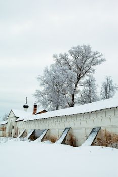 White winter tree and big wall in Uglich
