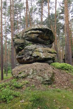 Bizarre sandstone rock formation in the forest