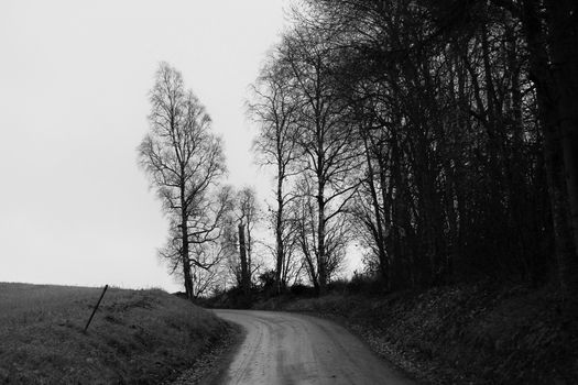 Old road in black/white