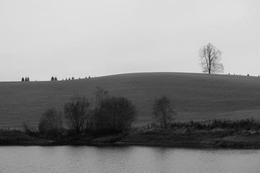 Landscape in greytones