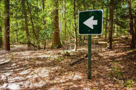 Arrow sign in a forest in Virginia, USA
