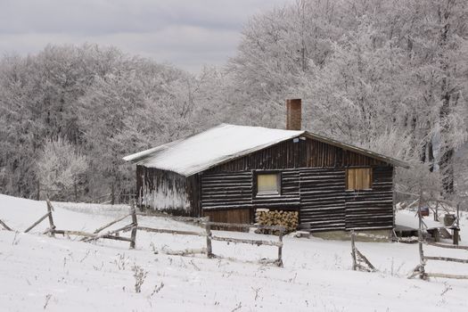 Wooden house on the edge of the forest, covered with snow