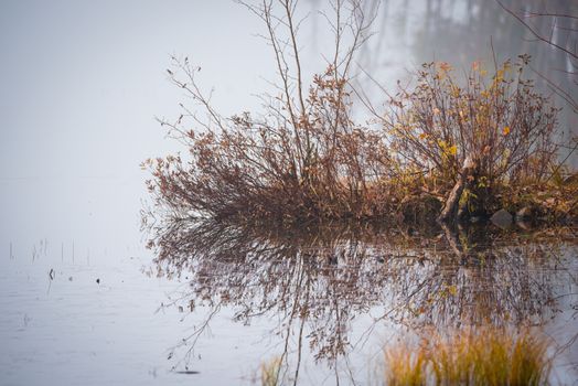 Still, cool air and warm lake water make for an early morning masking of the water in a near opaque fog show.