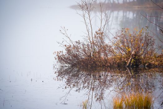 Still, cool air and warm lake water make for an early morning masking of the water in a near opaque fog show.